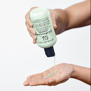 Bumble & Bumble Seaweed Shampoo 250ml