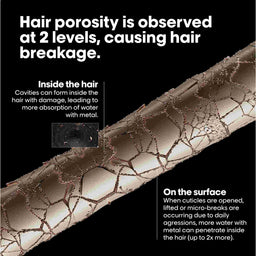 L'Oreal Professionnel Metal Detox Pre-Shampoo Treatment 250ml