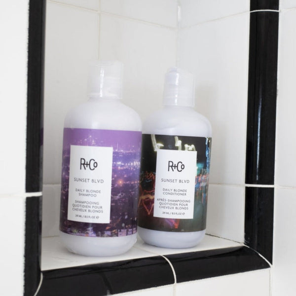 R+Co Sunset Blvd Daily Blonde Shampoo