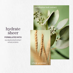 Pureology Hydrate Sheer Shampoo 266ml