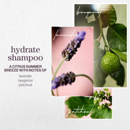 Pureology Hydrate Nourishing Shampoo 1000ml