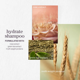 Pureology Hydrate Nourishing Shampoo 266ml